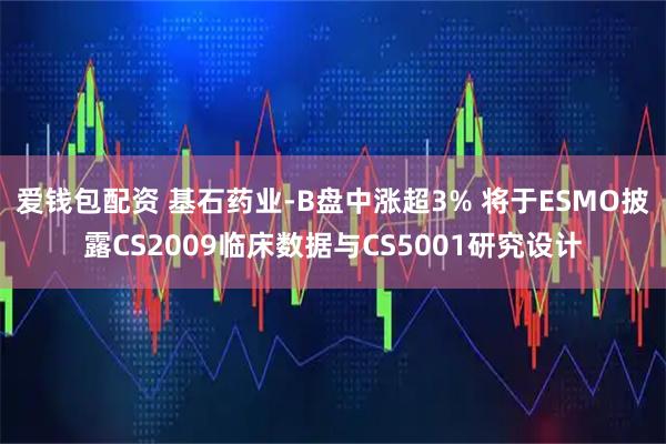 爱钱包配资 基石药业-B盘中涨超3% 将于ESMO披露CS2009临床数据与CS5001研究设计